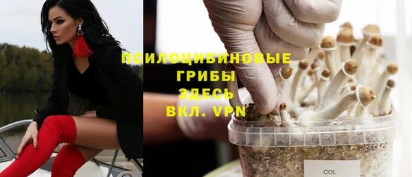 MDMA Куровское