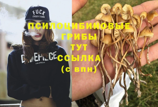 амф Козловка
