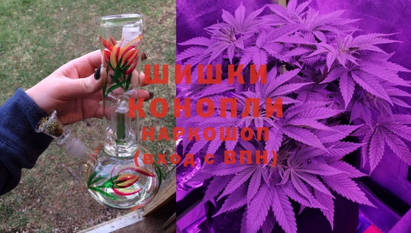 амф Козловка