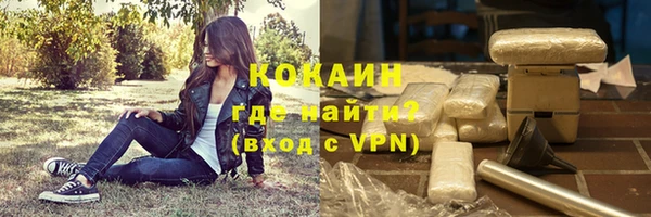 амф Козловка