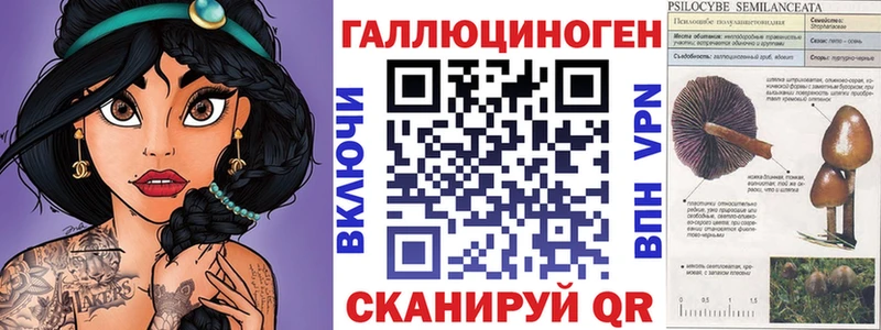 Псилоцибиновые грибы мицелий  omg tor  Хасавюрт  где купить наркотик 