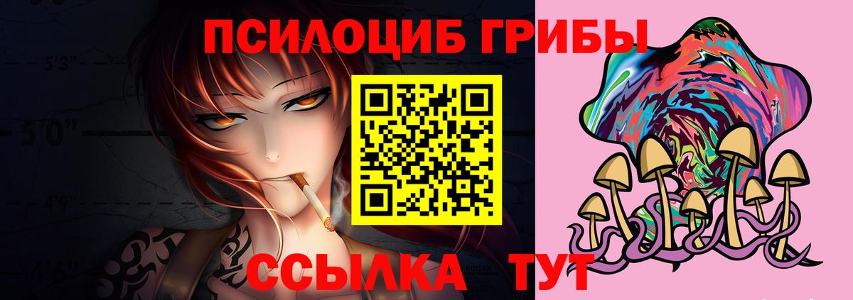 Псилоцибиновые грибы Cubensis  Вход с VPN  Хасавюрт 